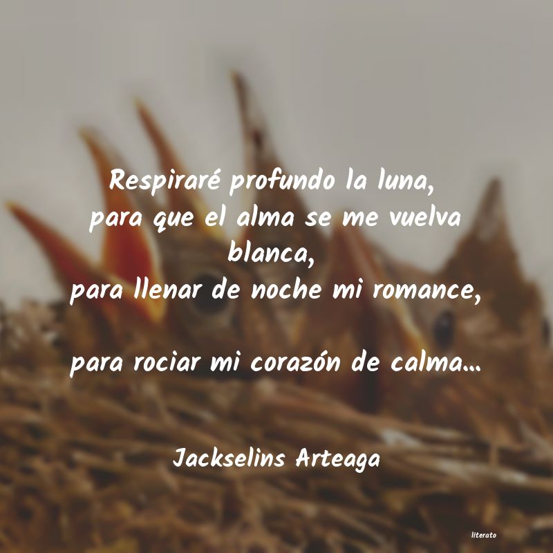 frases de Jackselins Arteaga