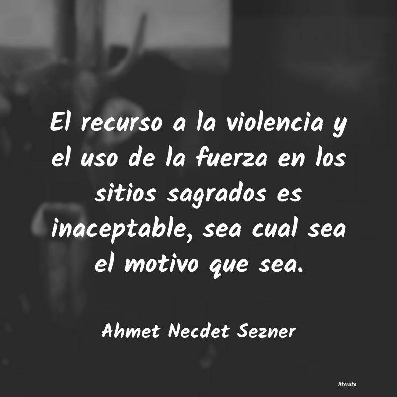 Frases de Ahmet Necdet Sezner