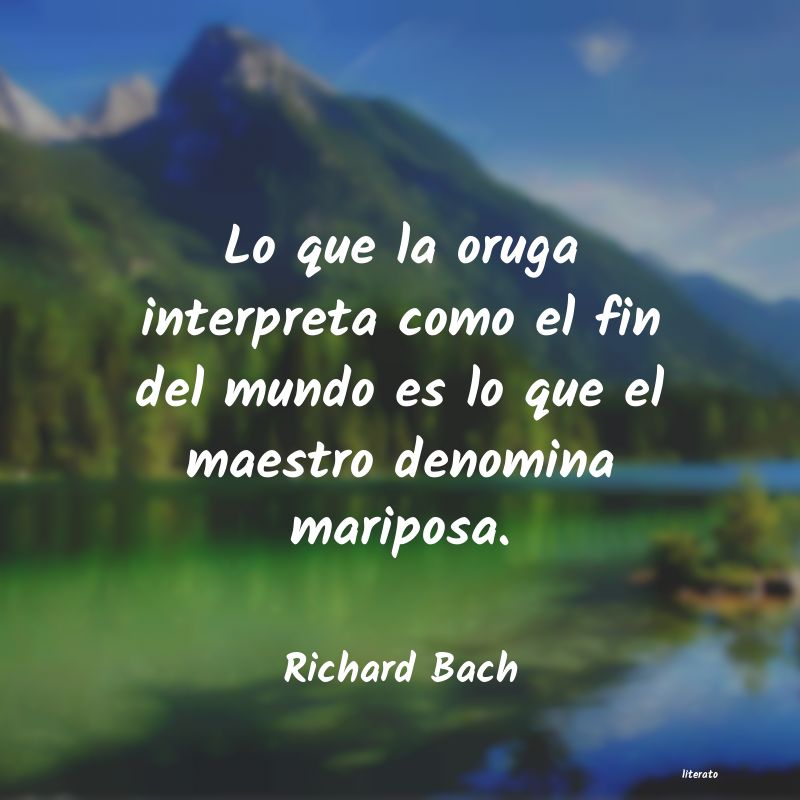 Frases de Richard Bach