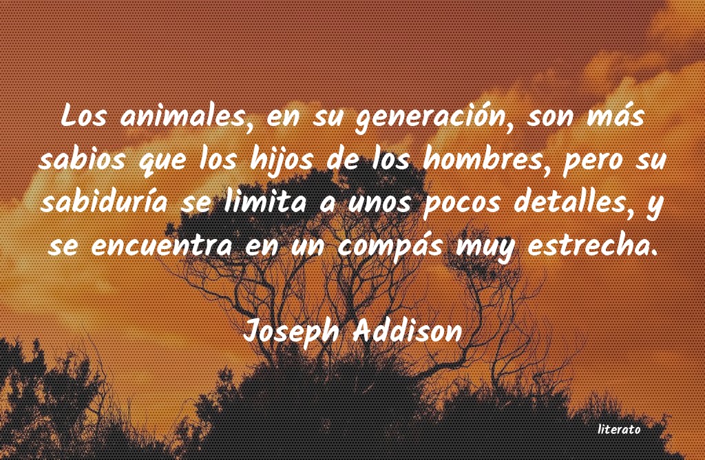 frases de Joseph Addison