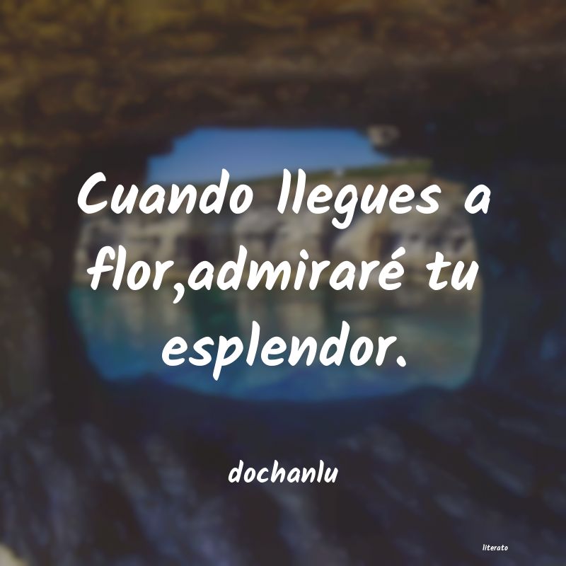 Frases de dochanlu