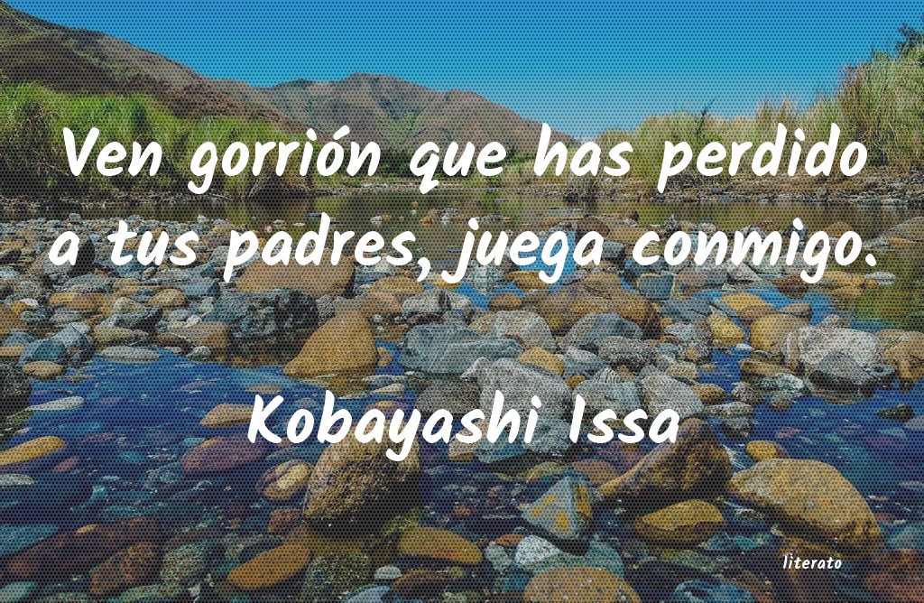 frases de Kobayashi Issa