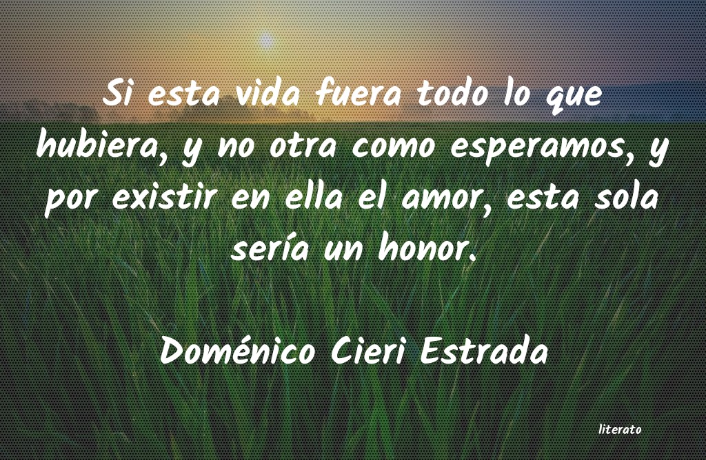 frases de Doménico Cieri Estrada