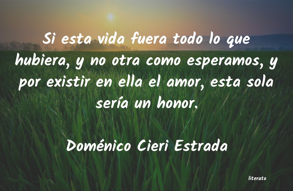 Frases de Doménico Cieri Estrada