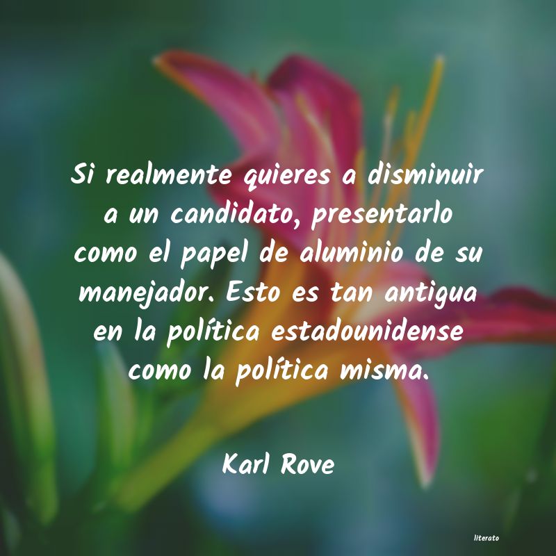 frases de Karl Rove