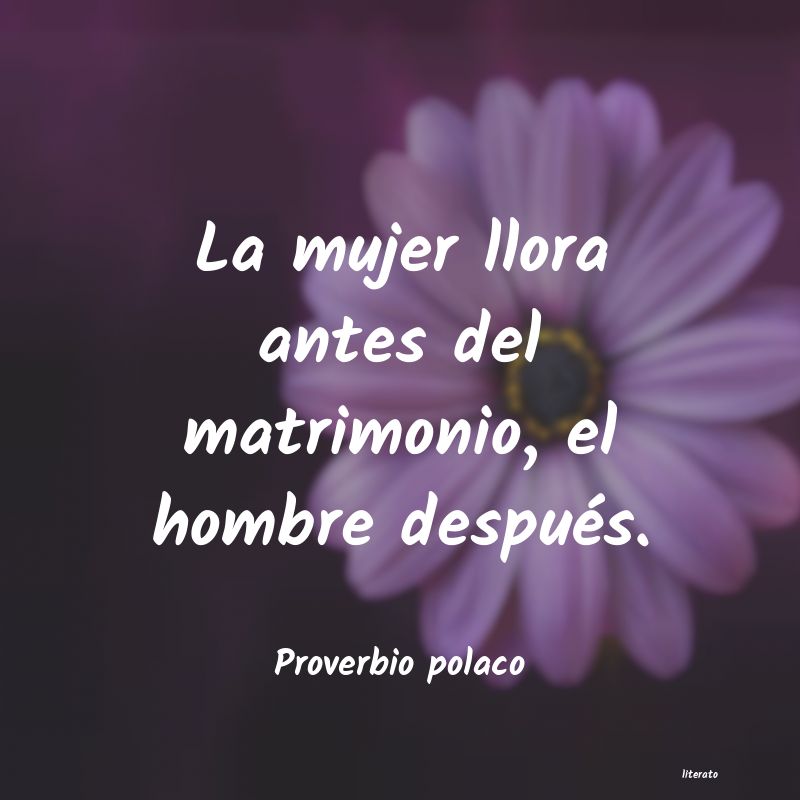 Frases de Proverbio polaco