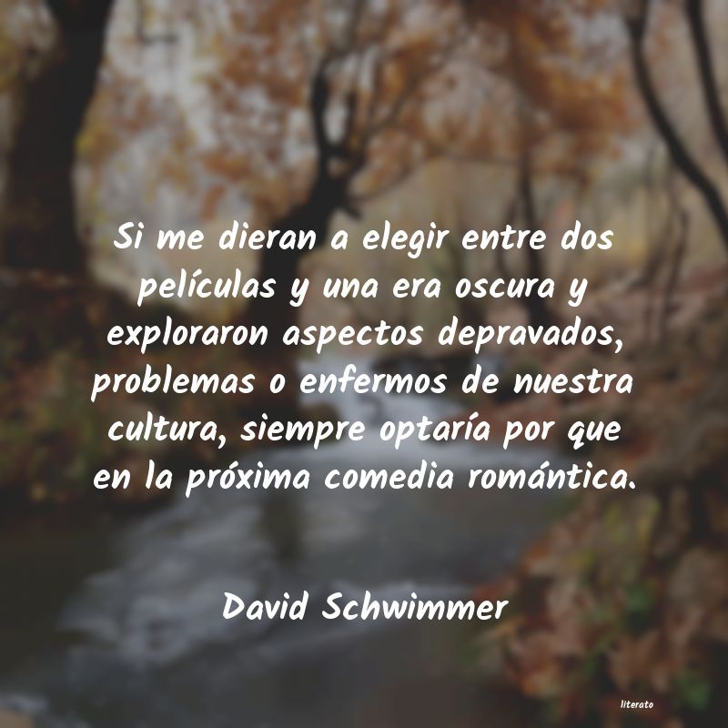 Frases de David Schwimmer