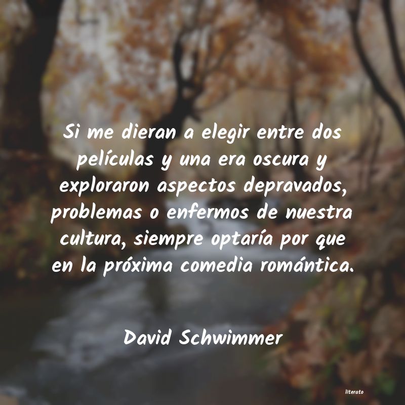 frases de David Schwimmer