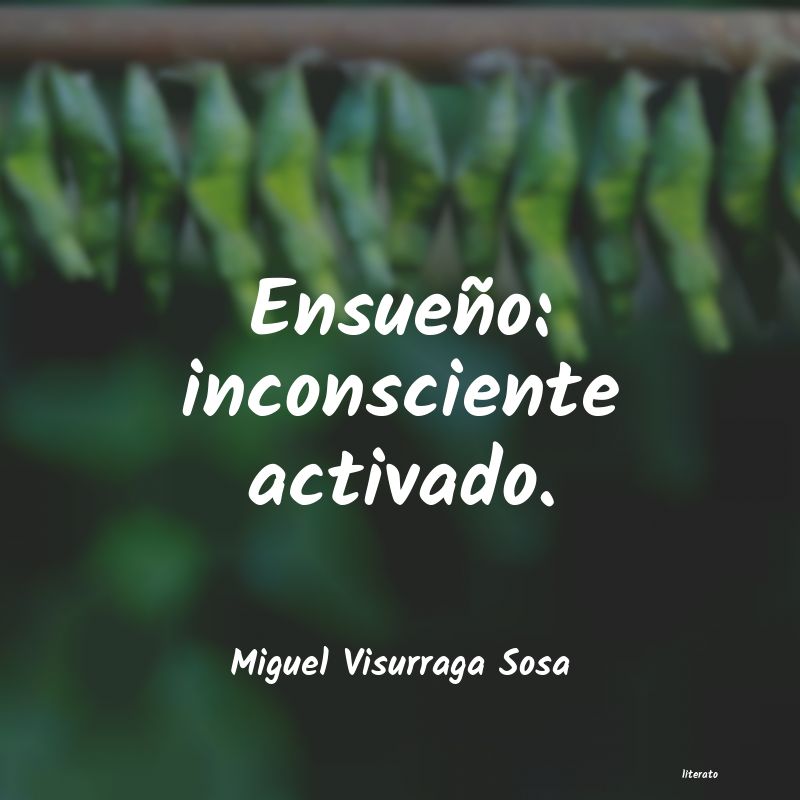 frases de Miguel Visurraga Sosa