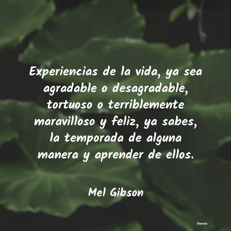 Frases de Mel Gibson