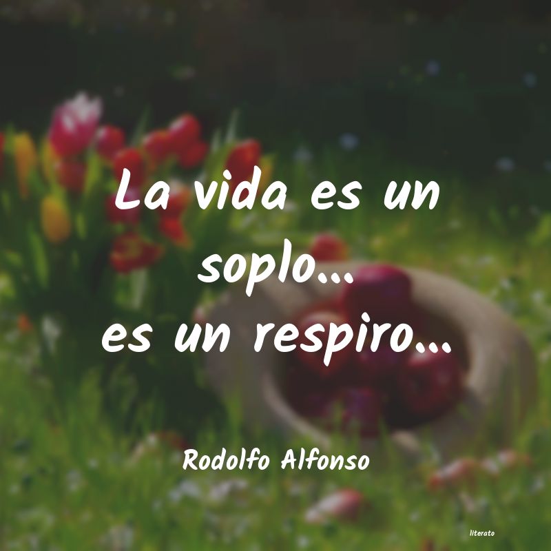 frases de Rodolfo Alfonso