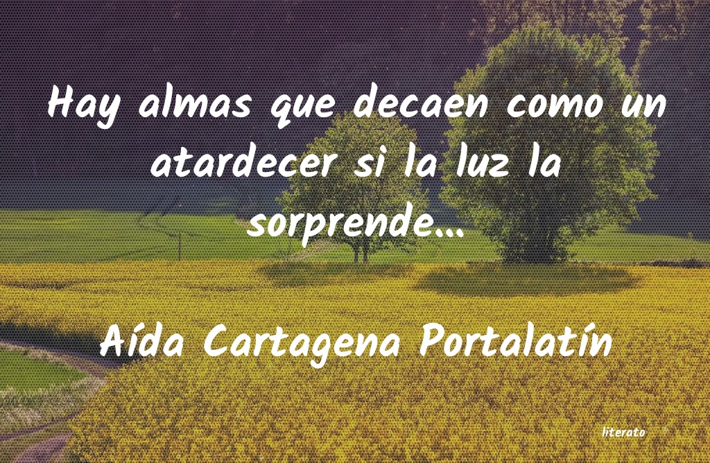 Frases de Aída Cartagena Portalatín