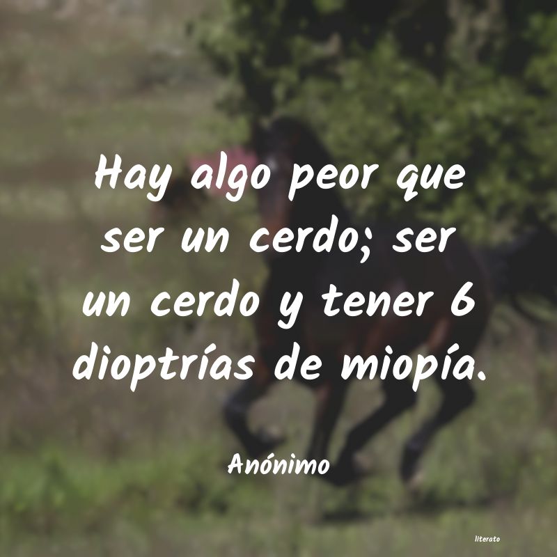 Frases de