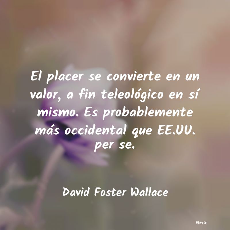 Frases de David Foster Wallace