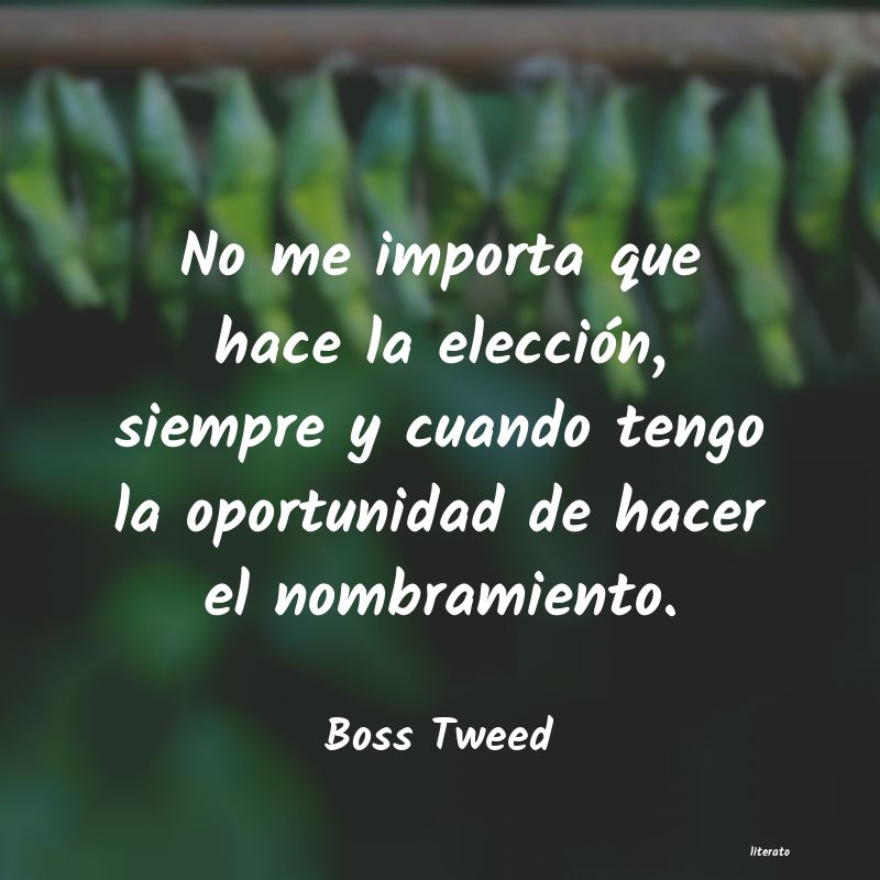 frases de Boss Tweed