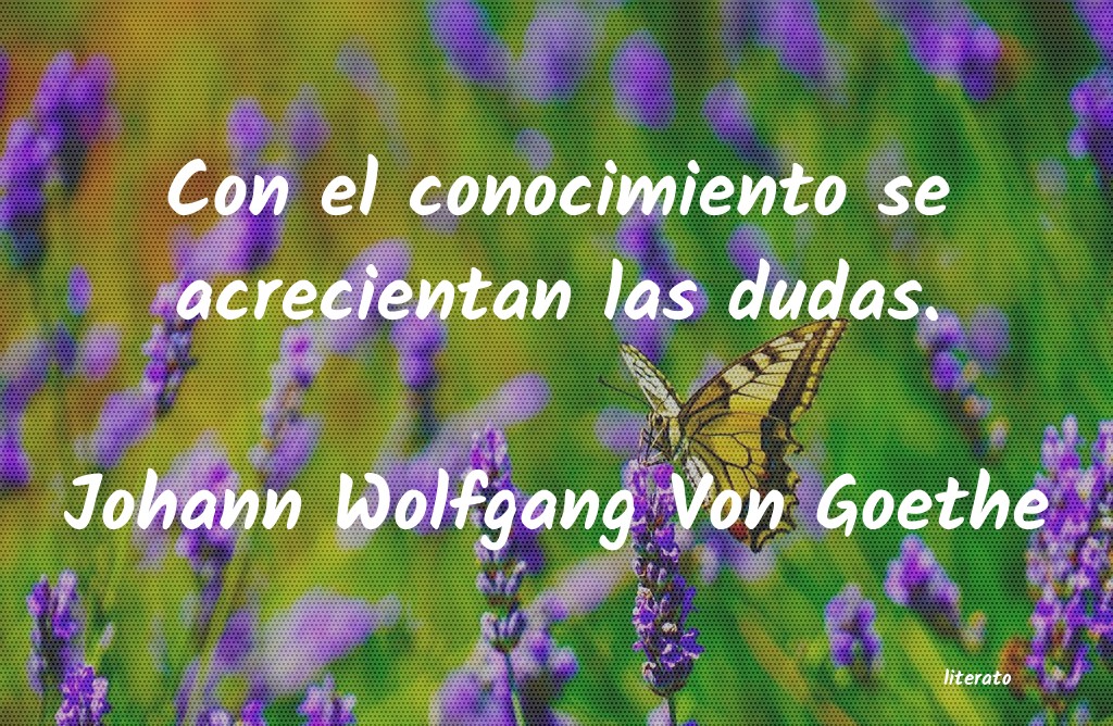 frases de Johann Wolfgang Von Goethe