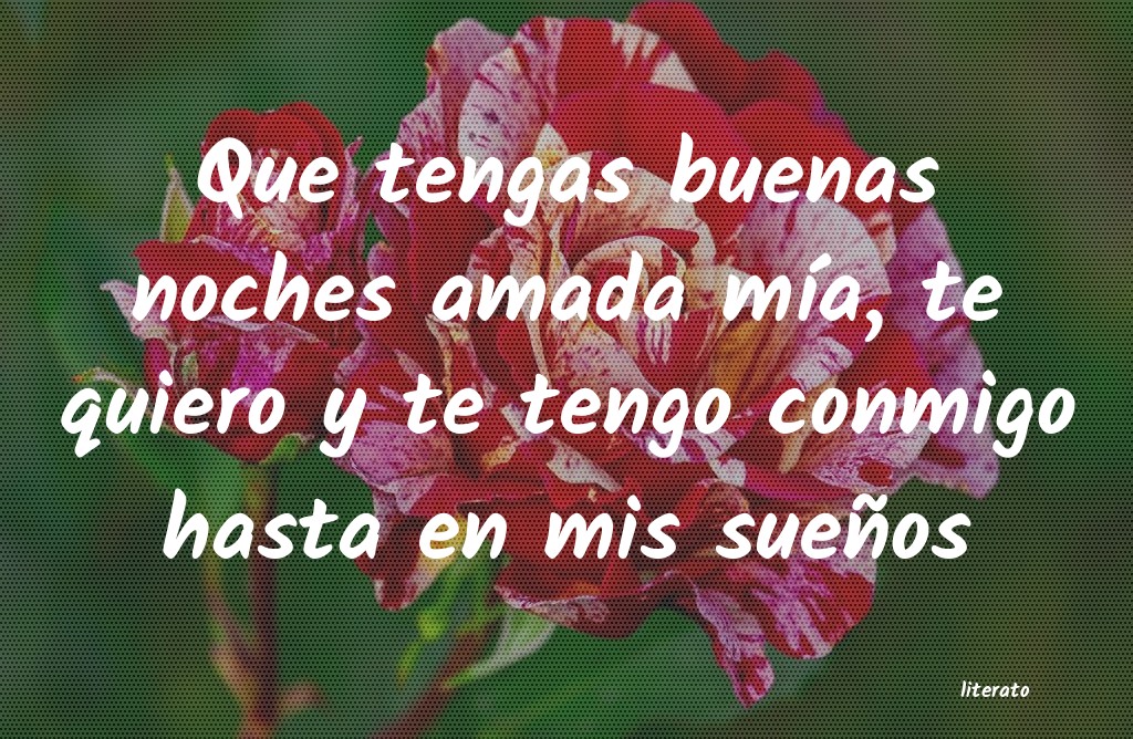 poemas cortos de buenas noches