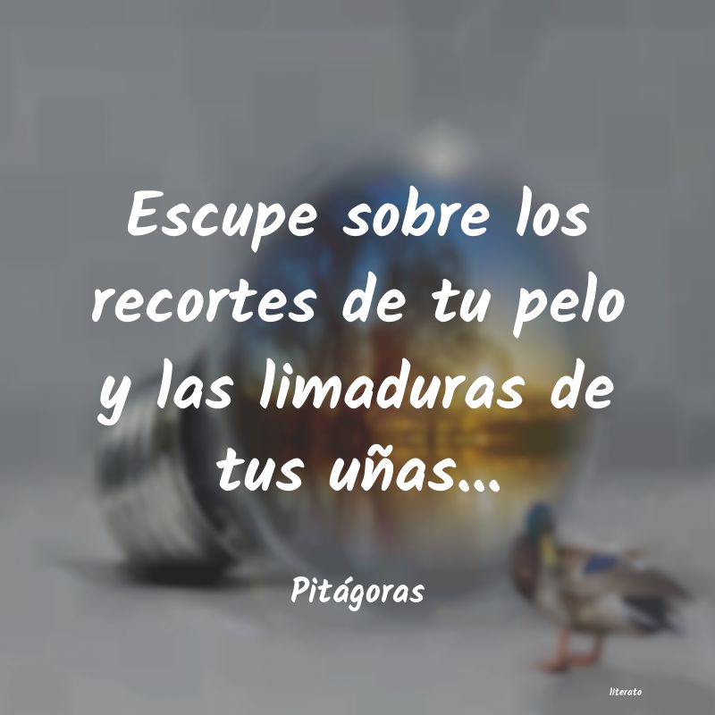 frases de Pitágoras