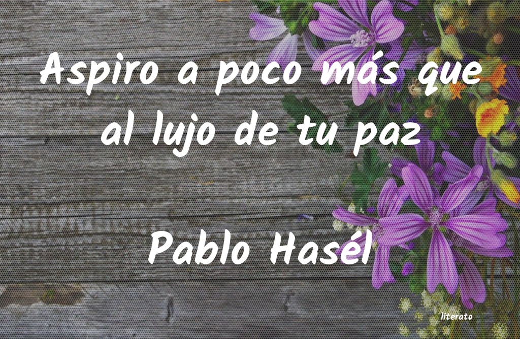 Frases de Pablo Hasél