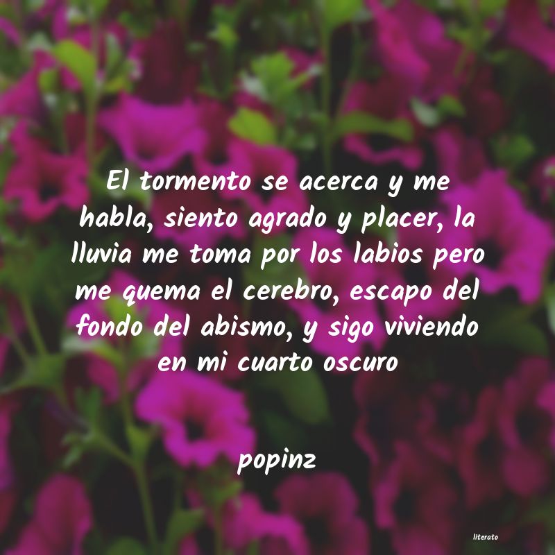 frases de popinz