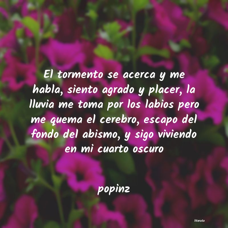 Frases de popinz