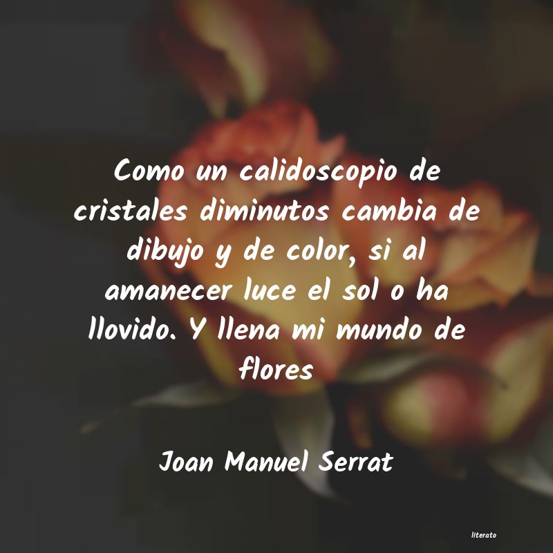 Frases de Joan Manuel Serrat