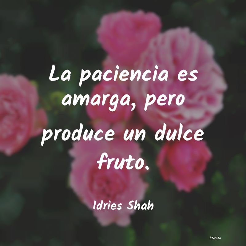 Frases de Idries Shah