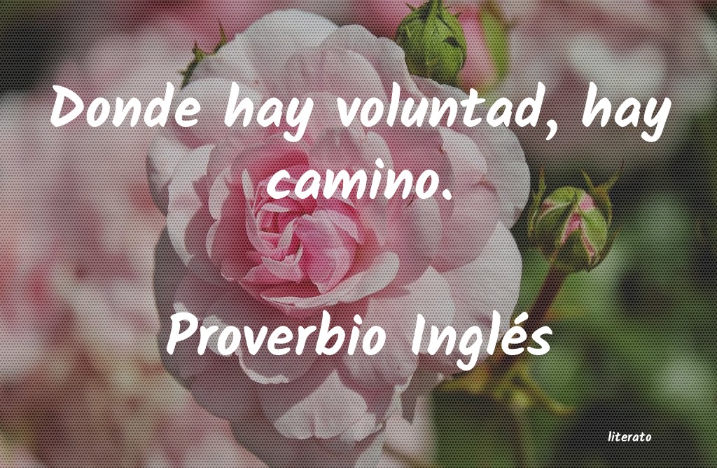 Frases de Proverbio Inglés