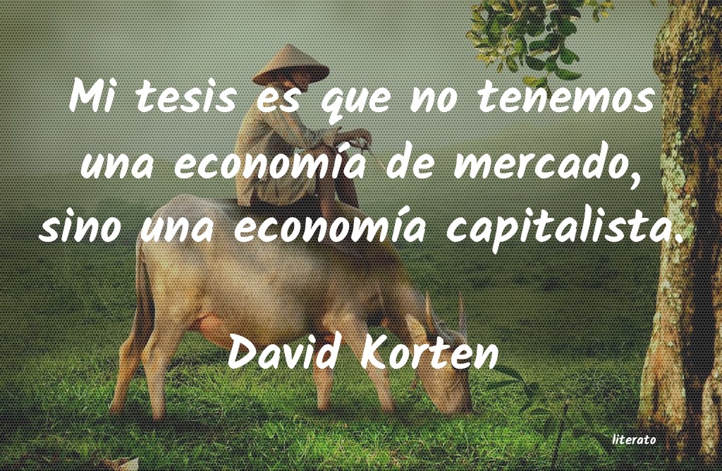 frases de David Korten