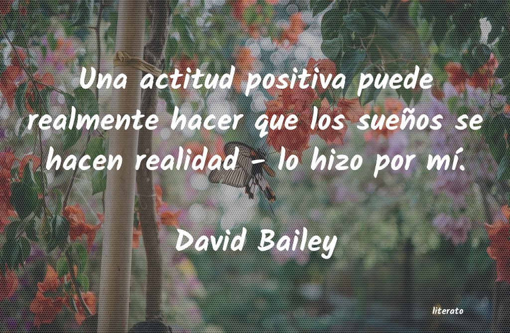 Frases de David Bailey