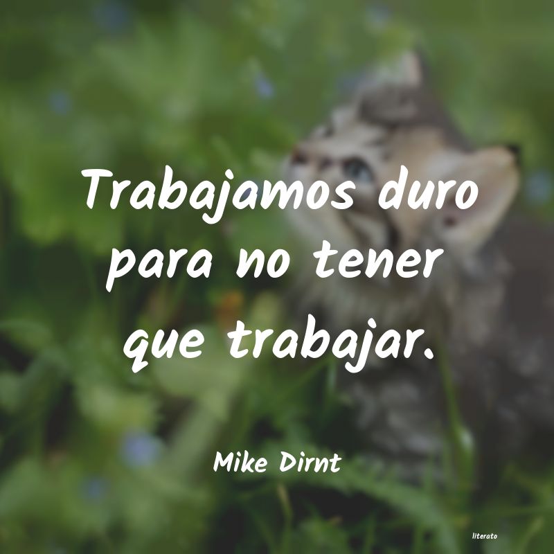 Frases de Mike Dirnt