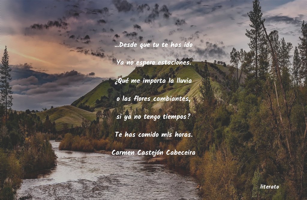 Frases de Carmen Castejón Cabeceira