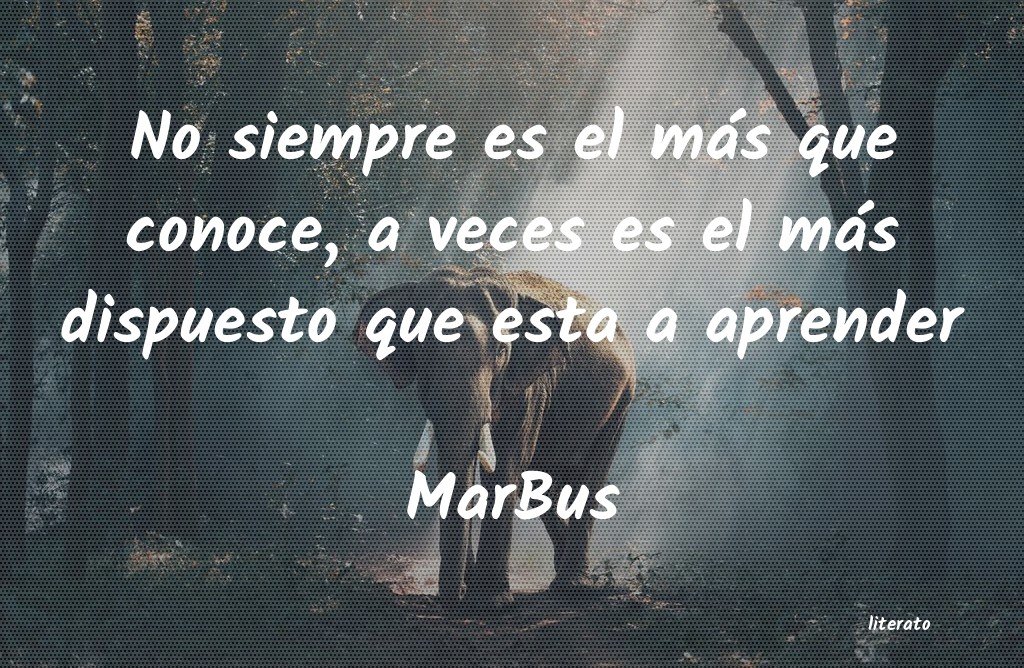 Frases de MarBus