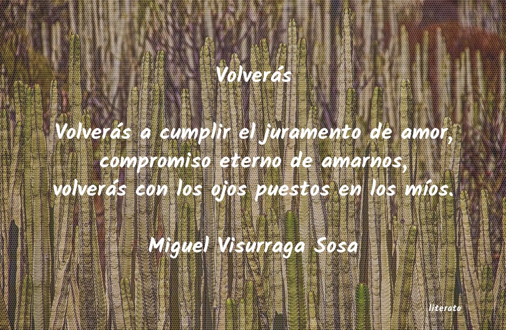 frases de Miguel Visurraga Sosa