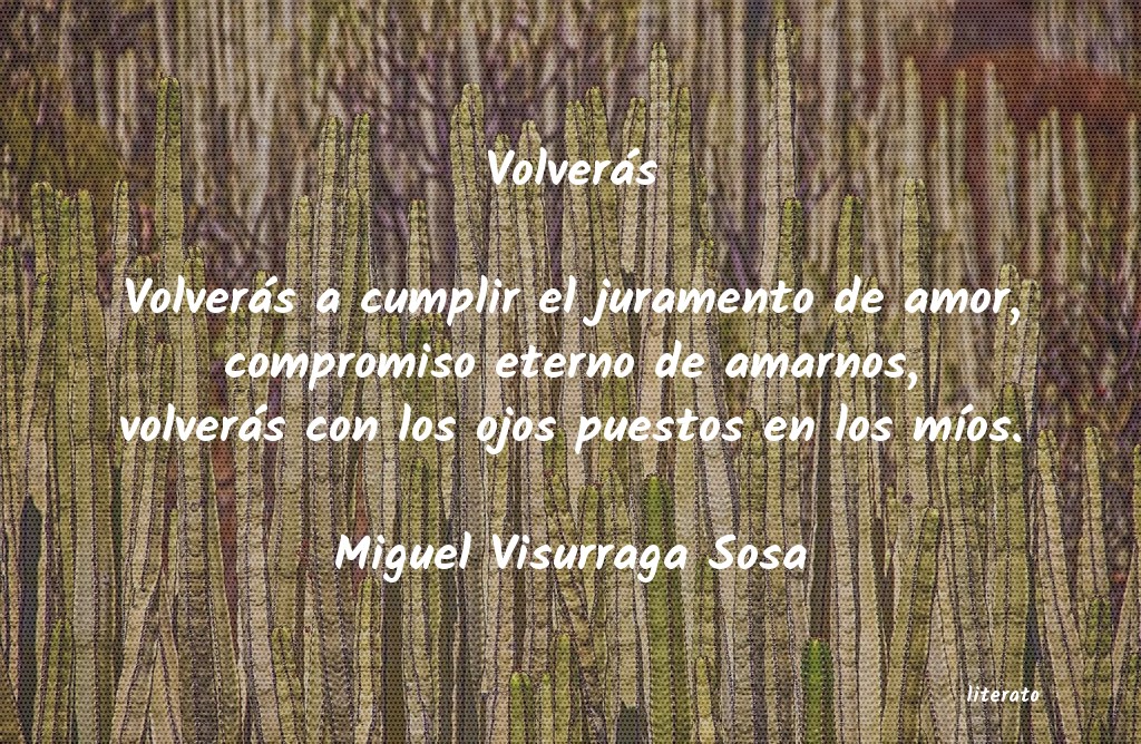 Frases de Miguel Visurraga Sosa