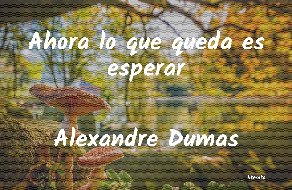 Frases de Alexandre Dumas