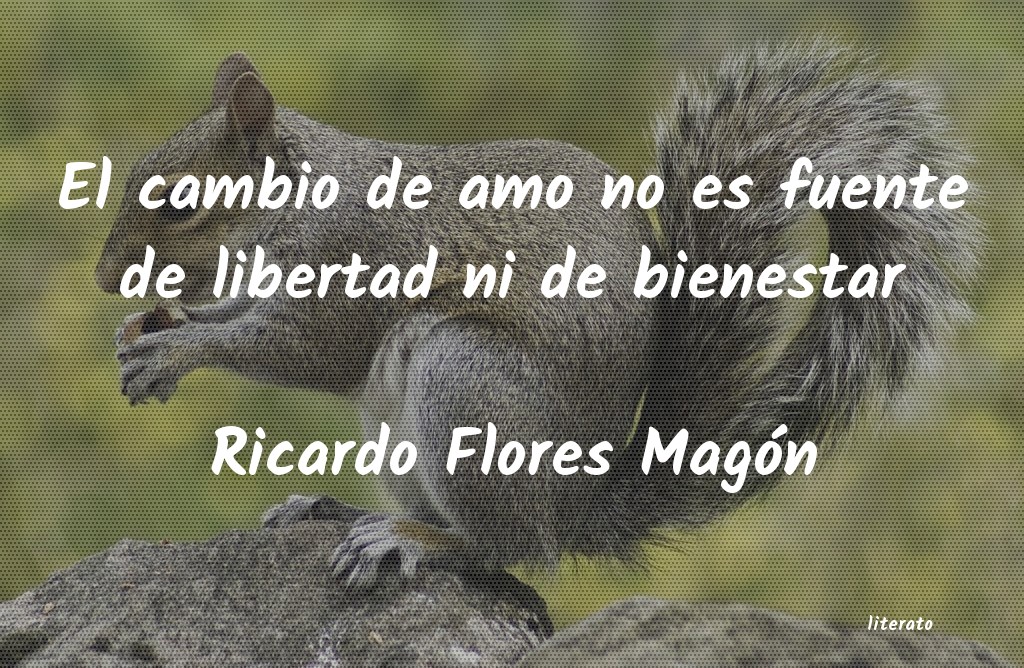 Frases de Ricardo Flores Magón