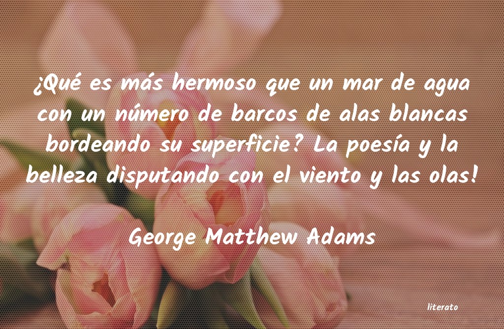 Frases de George Matthew Adams