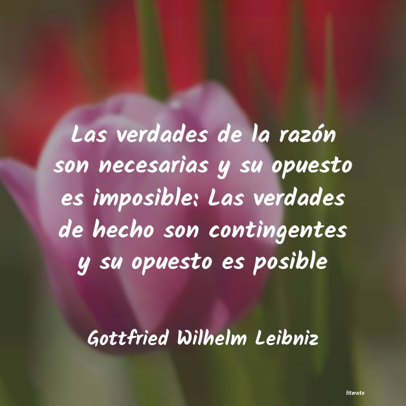 Frases de Gottfried Wilhelm Leibniz