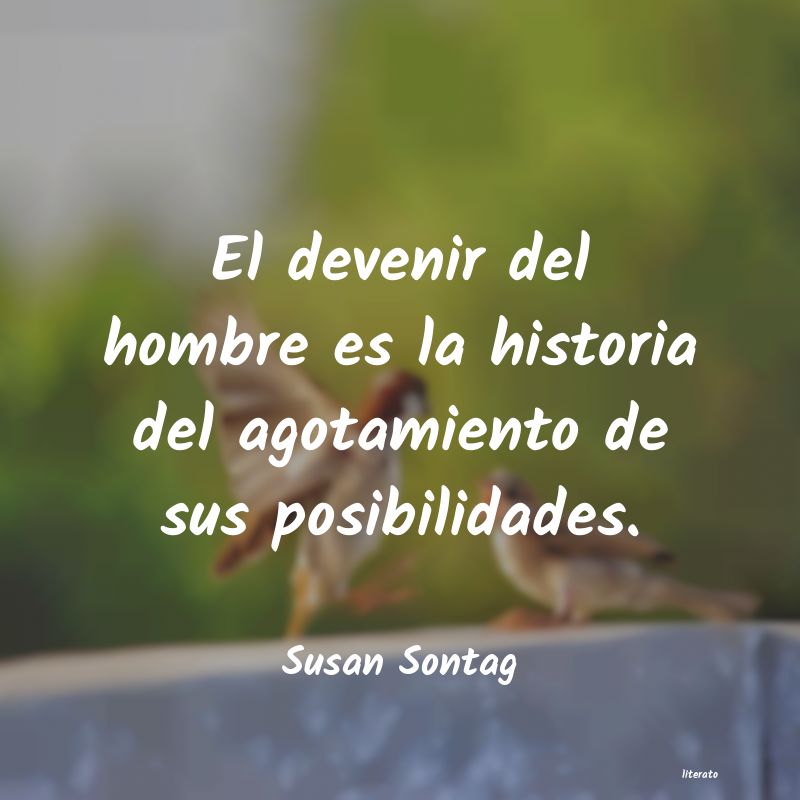 Frases de Susan Sontag