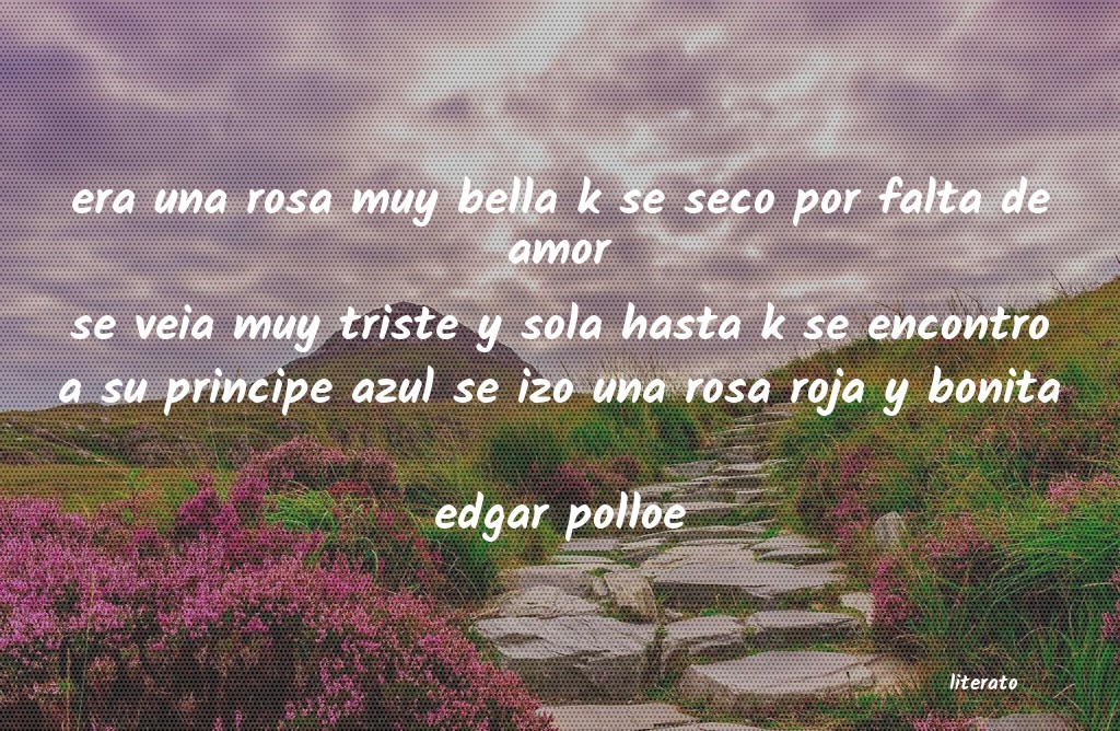 Frases de edgar polloe