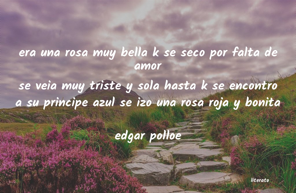 Frases de edgar polloe