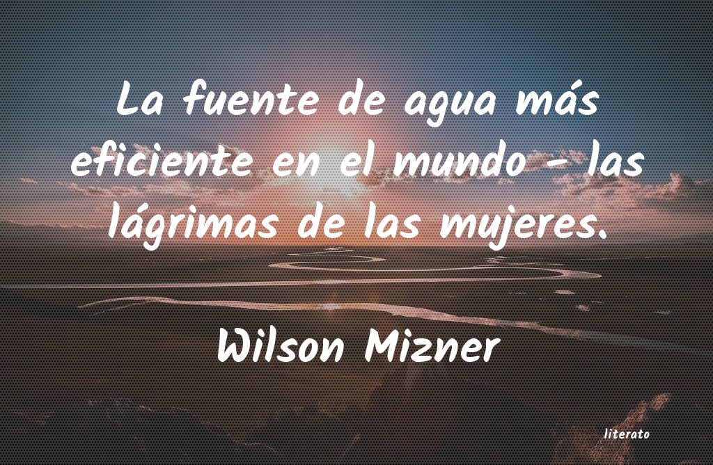 frases de Wilson Mizner