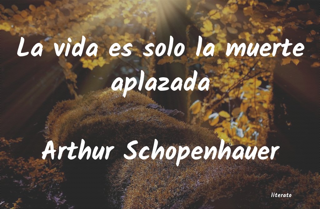 Frases de Arthur Schopenhauer