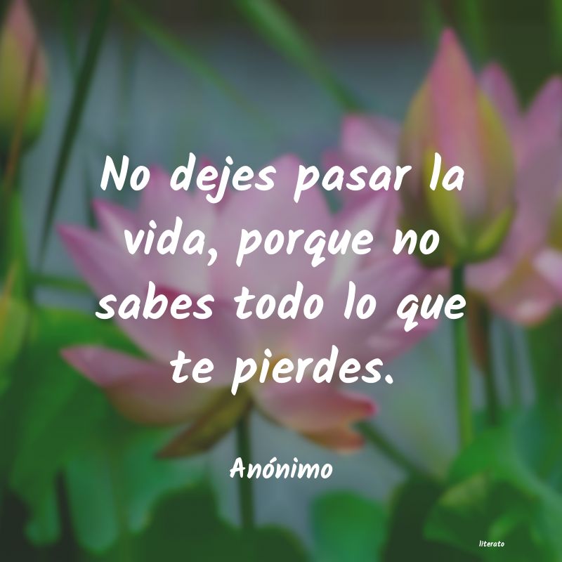 frases
