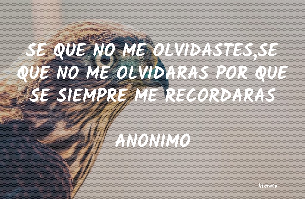 frases