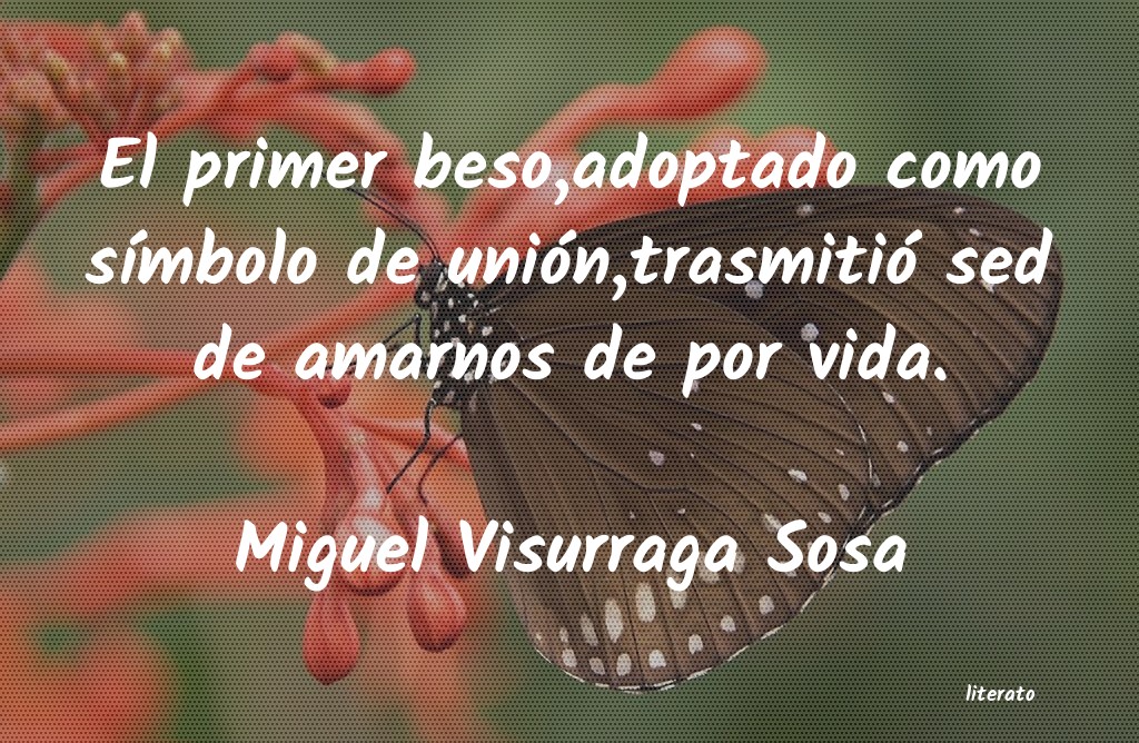 frases de Miguel Visurraga Sosa