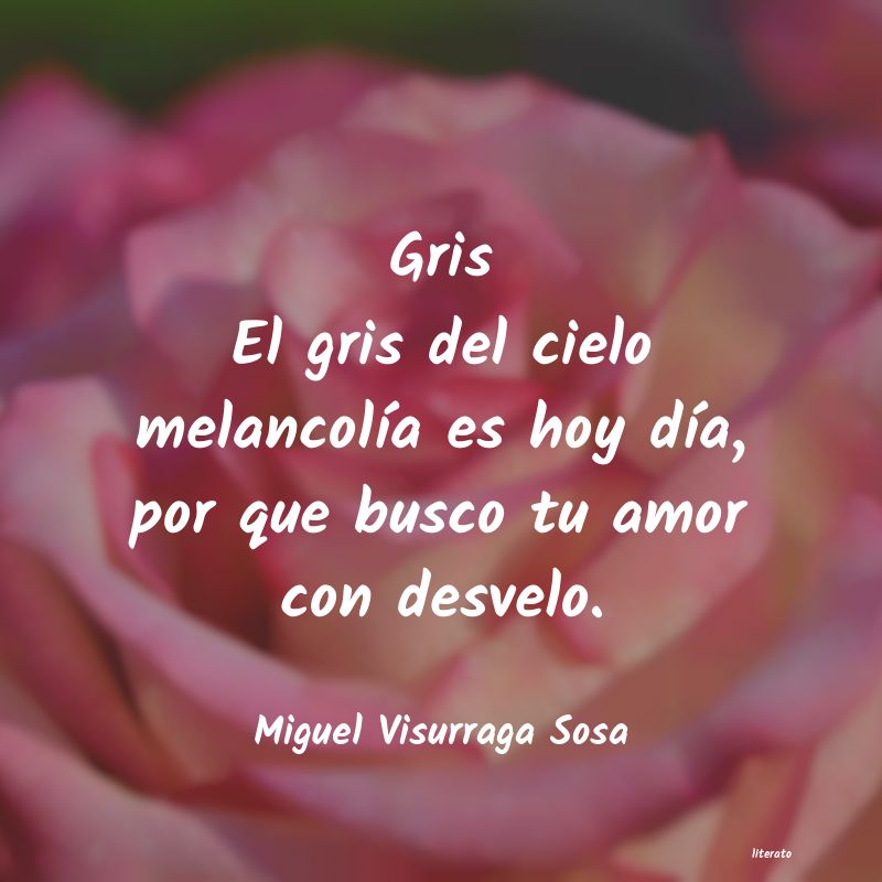 frases de Miguel Visurraga Sosa