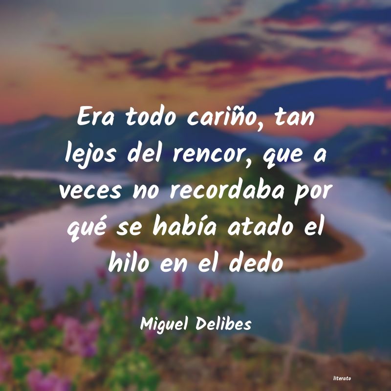 frases de Miguel Delibes