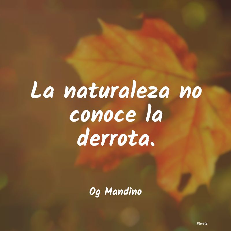 Frases de Og Mandino